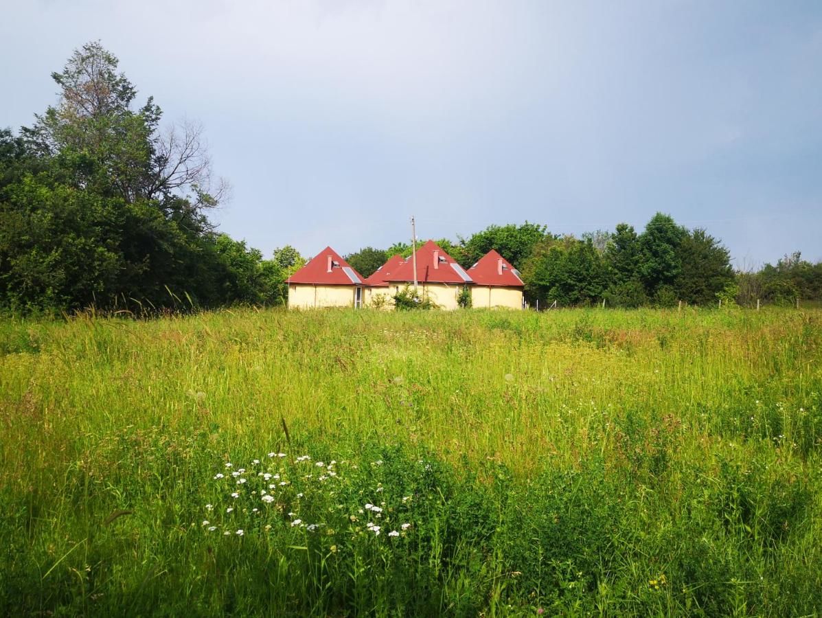 Дома для отпуска Tsar-Petrovo Houses Tsar Petrovo